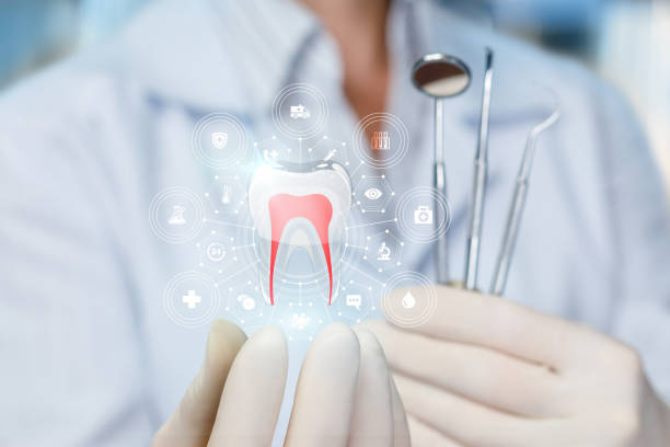 Senatobia, MS Holistic Dental Care Services Company